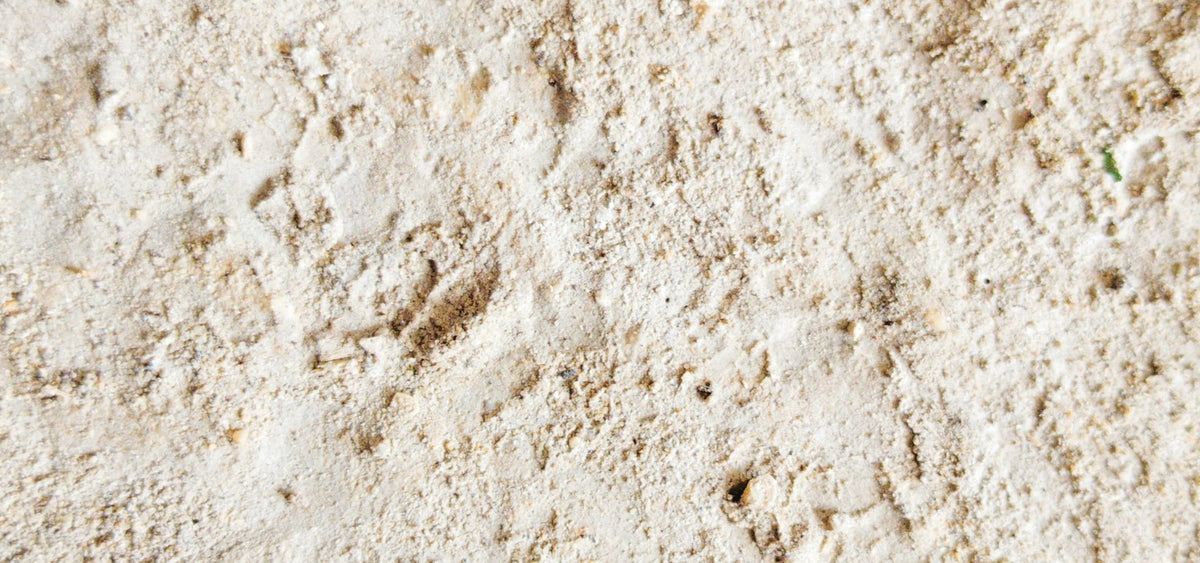 Texture de pierre creme